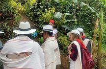 Coffee tour+Guatape 