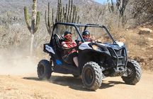 COMBO Horseback Riding & UTV Tour