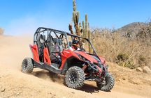 COMBO Horseback Riding & UTV Tour