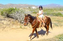 COMBO Horseback Riding & UTV Tour