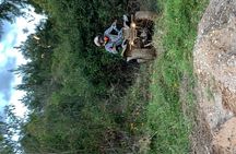 ATVS tour
