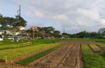 Da Nang Farming Bike Tour & Local Food Experience by Co Co River