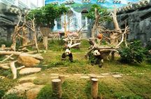 Macau Private Tour with an Insider