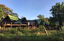 Exclusive knuckles Camping Tour from kandy