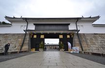 Nijo Castle and Imperial Palace Visit with Guide