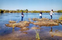Game drive in the Mosi Oa Tunya National Park - Livingstone