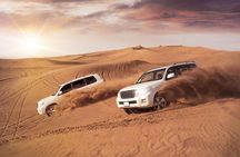  Dubai Desert Safari