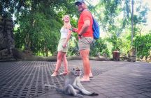 Ubud Private Tour : Choice Your Own Trip