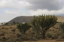 Meserani Snake Park Guided Day Tour in Arusha