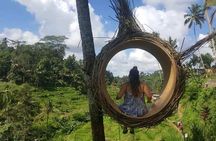 Rice Terrace and Bali Swing Tour