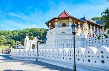 Kandy & Sigiriya 3 Day Tour From Hikkaduwa