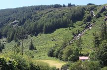 Private Wicklow Mountains Day Tour