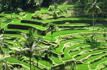 Balinese Ritual Purification Tour