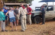 chobe national park 9hr full day game drive