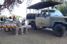 chobe national park 9hr full day game drive