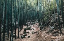 Plog and Hike Mount Mogan Nature Reserve – Guided Outdoor Tour from Hangzhou