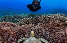Bunaken Island three-point snorkeling includes lunch and shuttle