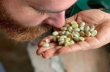 Coffee Experience - Finca in Fredonia