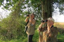 Full Day Birdwatching and Nature Tour