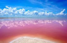 Las Coloradas and Río Lagartos Private Tour