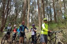 Sisga Dam Bike Tour