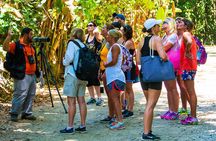 Manuel Antonio National park, PRIVATE day tour from jaco