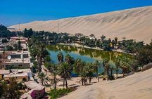 Full Day Paracas - Ica - Oasis Huacachina