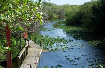 Miami Everglades Experience Airboat Ride, Wildlife Show