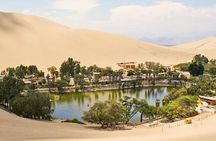 Full Day Paracas - Ica - Oasis Huacachina
