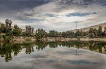 Full Day Paracas - Ica - Oasis Huacachina
