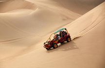 Full Day Paracas - Ica - Oasis Huacachina