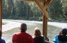 Full Day Grizzly Bear Tour to Bute Inlet