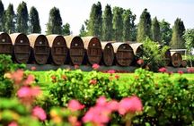 Winery and Pisco Distillery tour