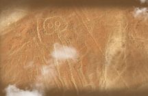 Nazca Lines and Dune Buggy (Huacachina) from Ica