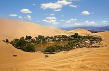 Wine, Pisco and Dune Buggy Experience