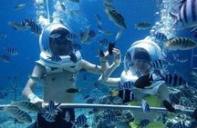 Bali Ocean Walker