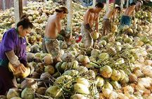 Ben Tre Day Trip From Ho Chi Minh City
