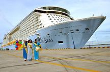 Vung Tau City Shore Excursion from Phu My Port