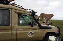 Tarangire Day Private tour trip