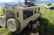 4 Days Join Group tour Tarangire Serengeti and Ngorongoro crater
