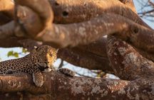 3-day Budget Safari To Maasai Mara 