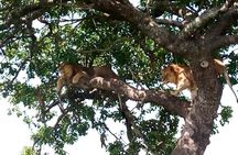 2 Days Amboseli National park safari package