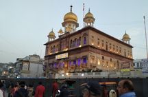 Old and New Delhi Street Food Sampling