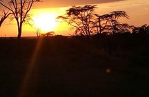 3-day Budget Safari To Maasai Mara 