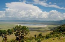 1 Day: Taste of Wildlife to Ngorongoro Crater