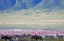 1 Day: Taste of Wildlife to Ngorongoro Crater