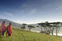 1 Day: Taste of Wildlife to Ngorongoro Crater