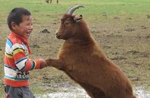 Essence of Mongolia 5 Days