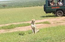Lake Nakuru National park Express Day Trip 