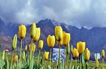 Private Custom Tour: Gulmarg local Sightseeing with guide